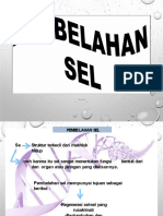 Pertemuan Ke 2 Pembelahan Sel Hidayati