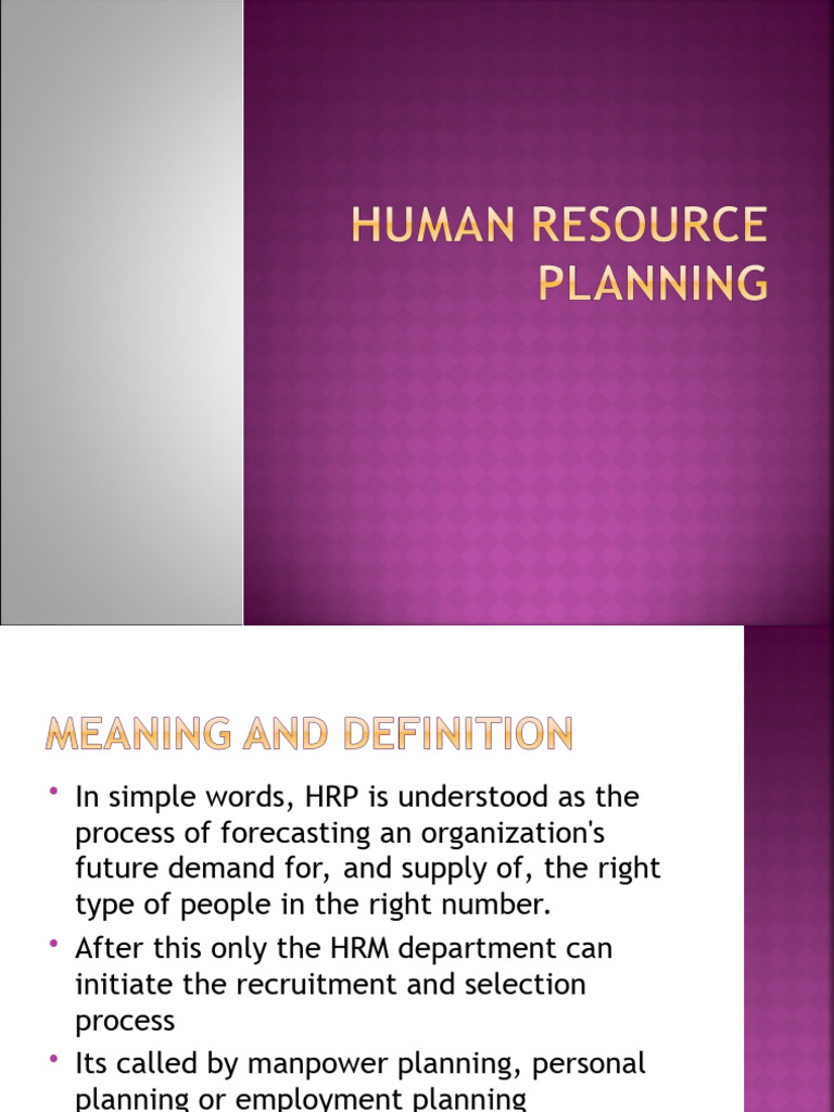 hr-planning-pdf-employment-human-resources