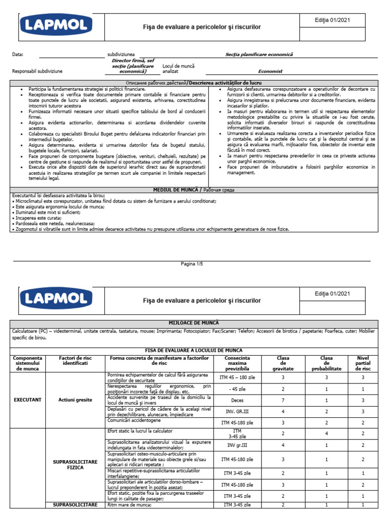 10 Fisa Evaluare A Risc-Economist | PDF
