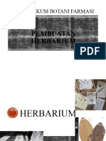 P2 Pembuatan Herbarium