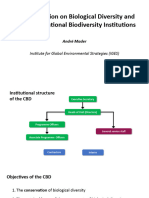 The Convention On Biological Diversity