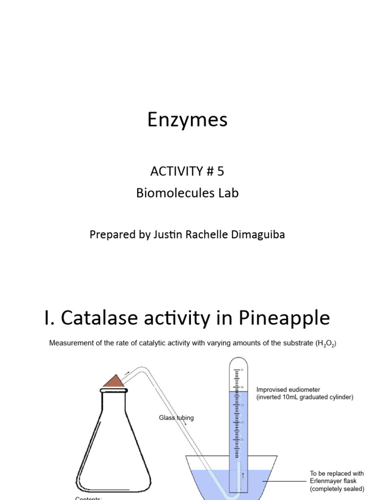 Enzymes Post Lab With EA PDF Denaturation (Biochemistry) Enzyme