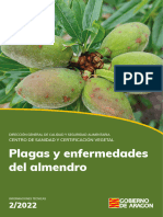 INFORMACIONES TECNICAS 2 2022 Almendro Plagas