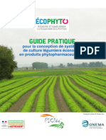 Guide Legumes Methodologie Cle4e9f9b