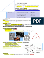 Tema 23. Bio Hongos