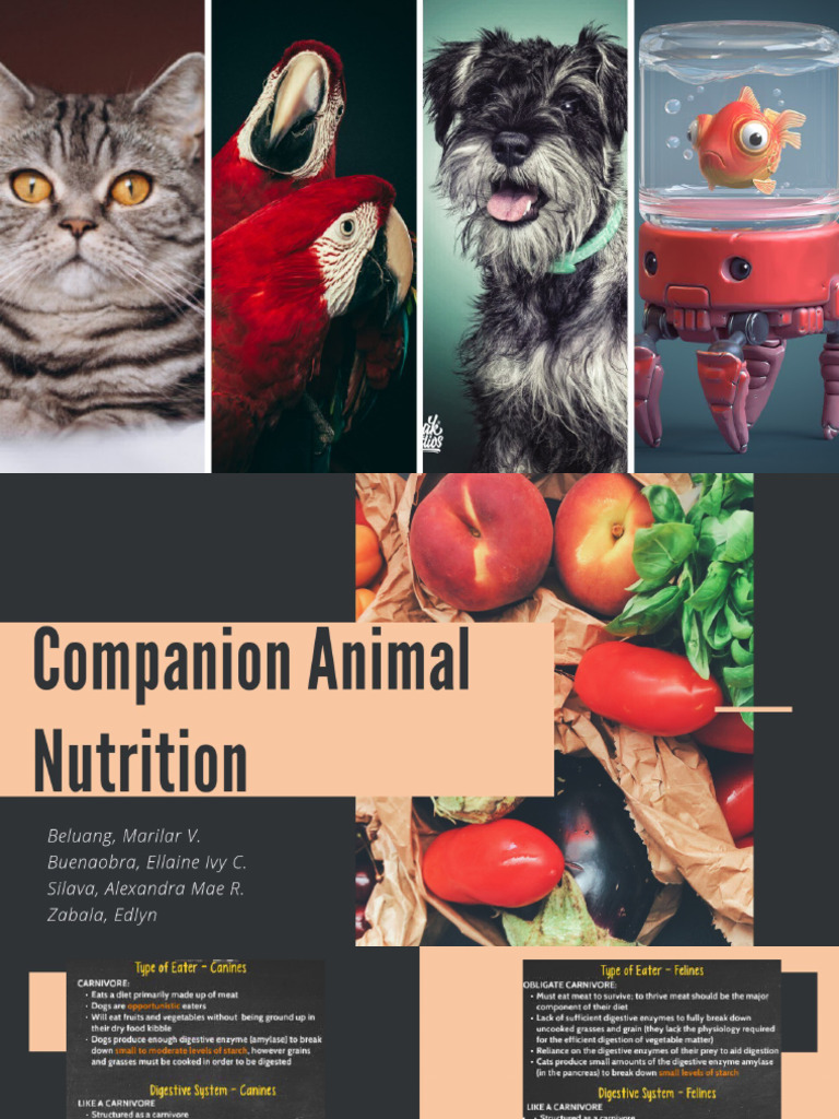 FEDIAF NUTRITIONAL GUIDELINES 2021 visual data 7