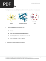 BEST - BCL - 1 - 3 - Diagnostic - The Unit of Life