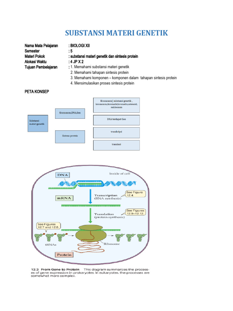 LKPD Sintesis Protein | PDF | Sains & Matematika
