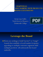 Strategic Brand Management Chapter 12