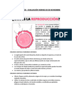 Resumen Biología 03.11