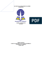 Laporan Pratikum Ipa Mandiri (Simbiosis)