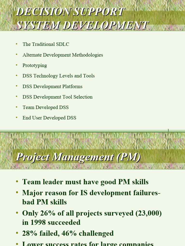 Decision Support System Development | PDF | Software Prototyping ...