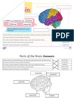 T SC 1694170789 Parts of The Brain Labelling Activity - Ver - 2