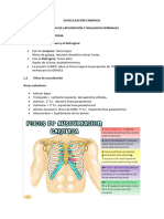 Auscultación Cardíaca