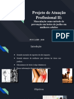 Apresentação Projeto de Atuação Profissional II