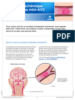 1043 1 Accident Ischemique Transitoire