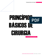 Principios Básicos de Cirurgia