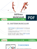 Generalidades Sistema Muscular