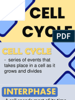 Cell Cycle w4