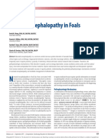 Encefalopatia Neomnatal en Potros