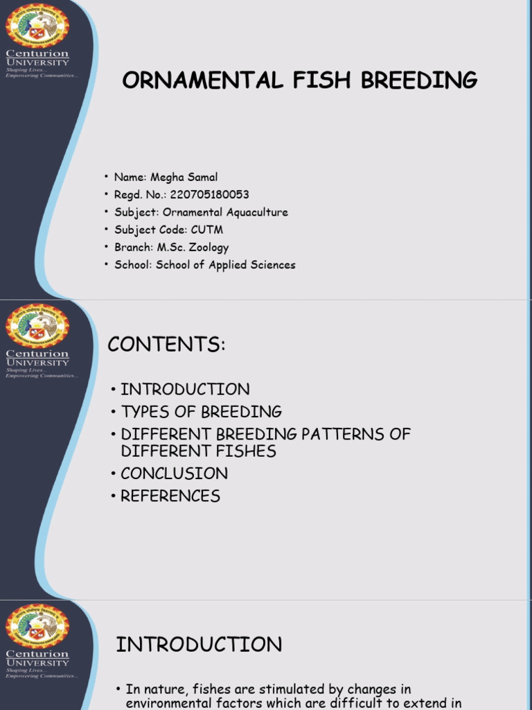 Photo inspiration: Gallery Detail: Ornamental Fish Breeding Techniques Pdf Wellness