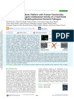 Double-Edged Nanobiotic Platform With Protean Functionality: Leveraging The Synergistic Antibacterial Activity of A Food-Grade Peptide To Mitigate Multidrug-Resistant Bacterial Pathogens