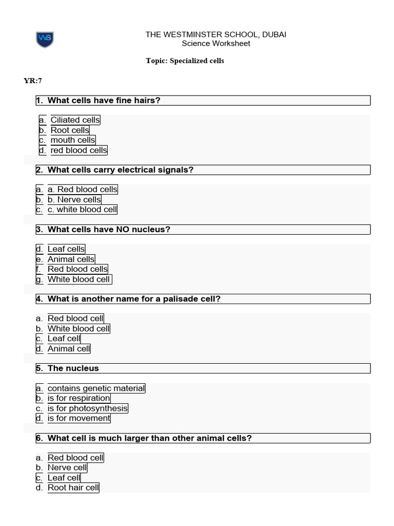 Year 7 Specialized Cells Worksheet | PDF | Cell (Biology) | Leaf