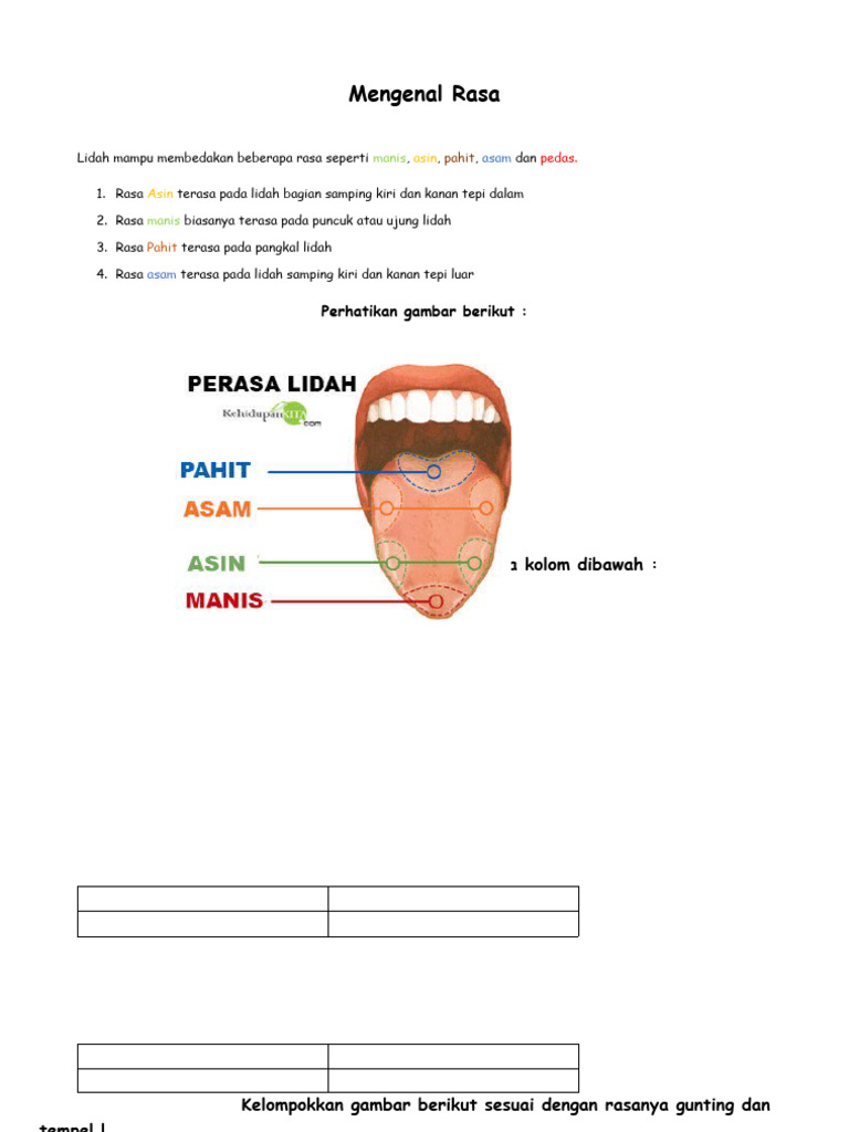 Mengenal Rasa | PDF
