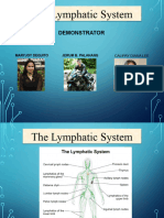 Lymphatic System