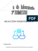 Practica Endotermica Fq3º