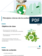 1.1 Principios Claves de La Sostenibilidad 2023