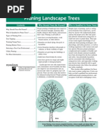the tree climbers companion pdf free download