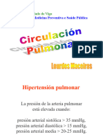 05 Circulación Pulmonar