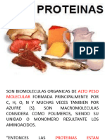 Proteínas y Enzimas