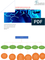 Mapa Conceptual Bioquimica