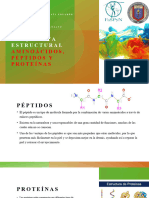 Bioquímica Estructural: Aminoácidos, Péptidos Y Proteínas