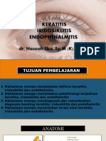 Keratitis (3A), Iridosiklitis (3A) & Endoftalmitis (2) DR Hasnah, SP.M, M.kes