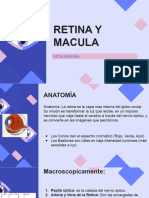 Retina y Macula