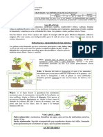 Guia de Las Plantas