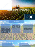 Conclusiones Materia Valuacion Agropecuaria 2