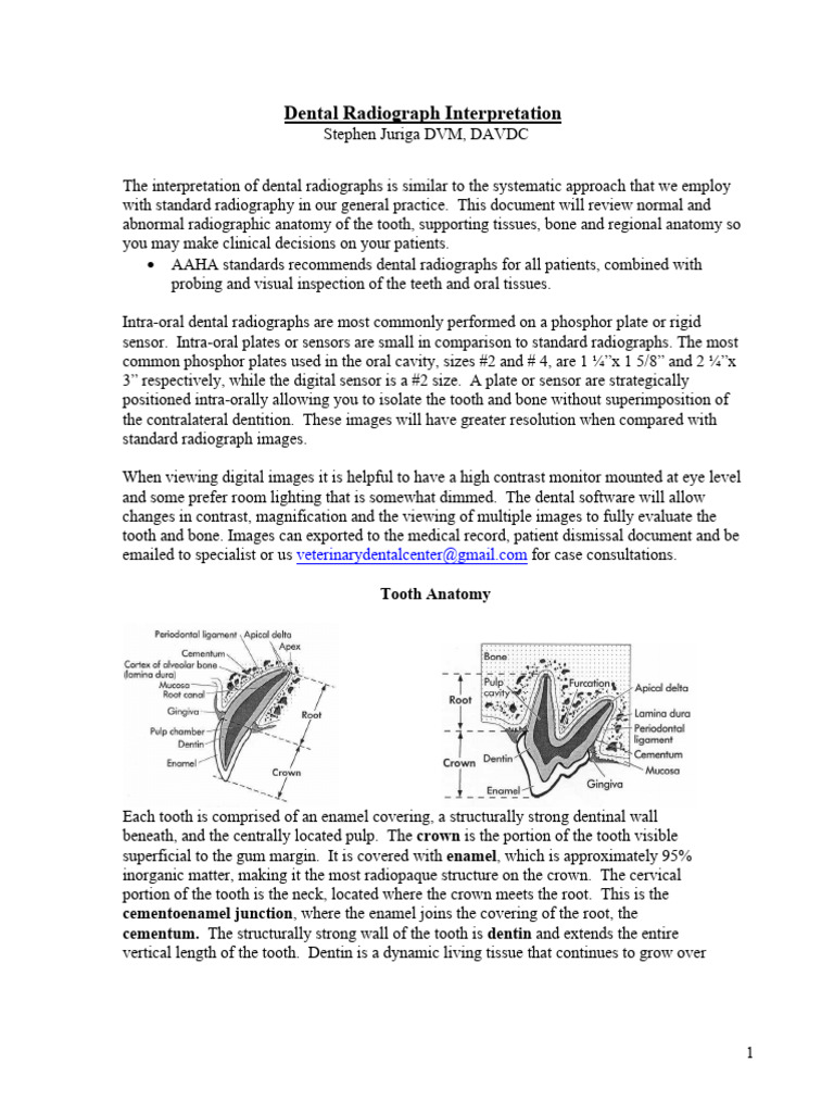 Dental Radiograph Interpretation PDF Periodontology Medical