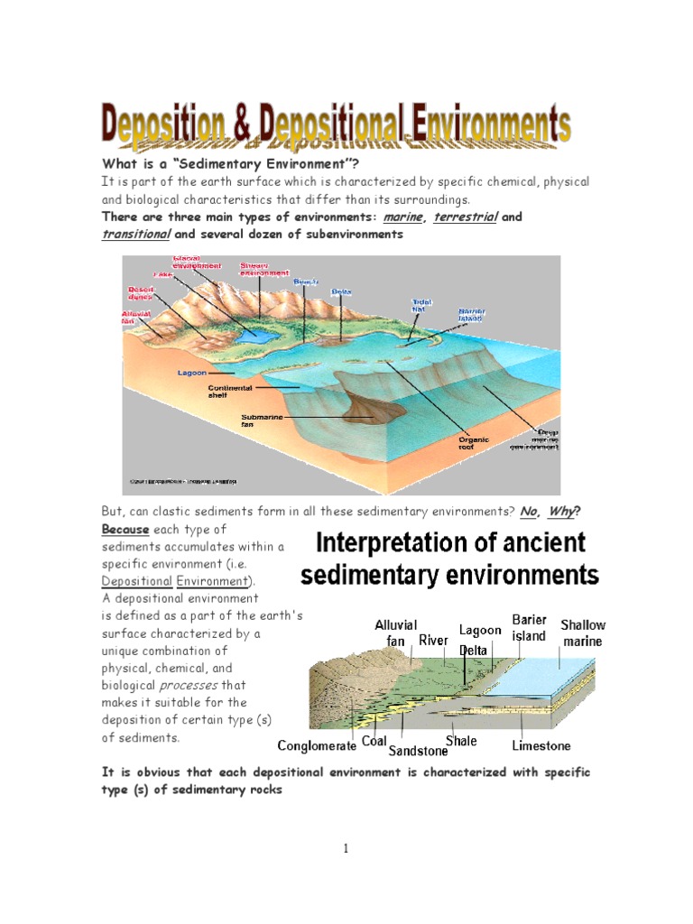 本店は PDF | Environments Depositional | Delta River | Rock Sedimentary 洋書
