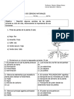 Prueba de Ciencia La Flor