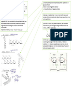 Mindmap Sachariden Deel 2