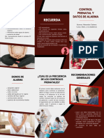 Triptico de Intrd Obstet