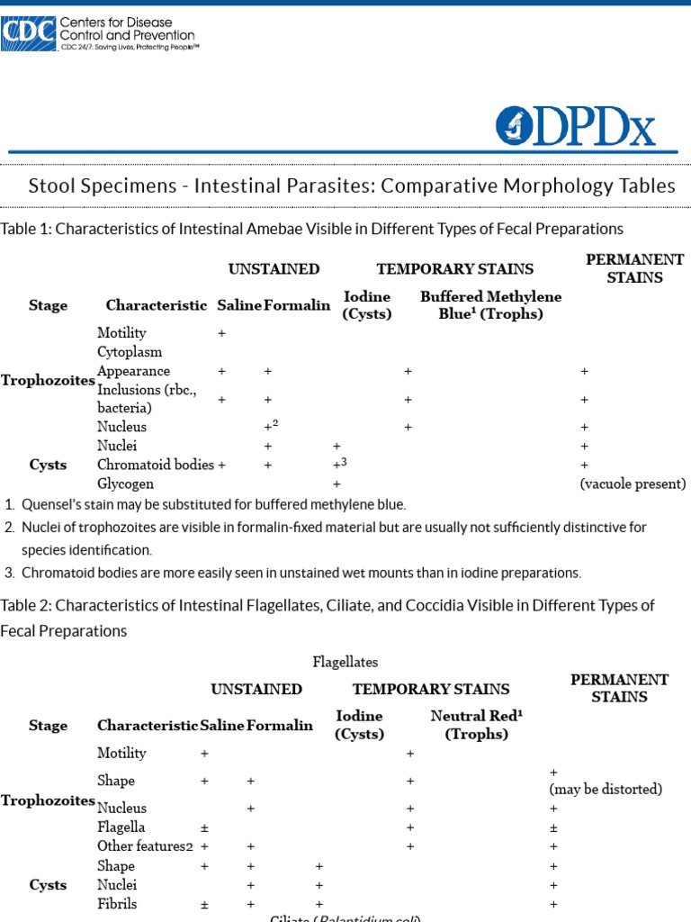 Cdc dpdx diagnostic procedures stool specimens pdf staining