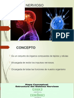 Sistema Nervioso Autonomo