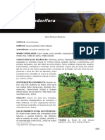 Sicana Odorifera Croa P 315 317 in Plantas Do Futuro