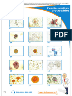 Atlas de Parasitologia Doles Parasitas Intestinais