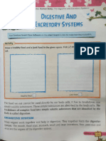 Excretory Systems: Digestive and